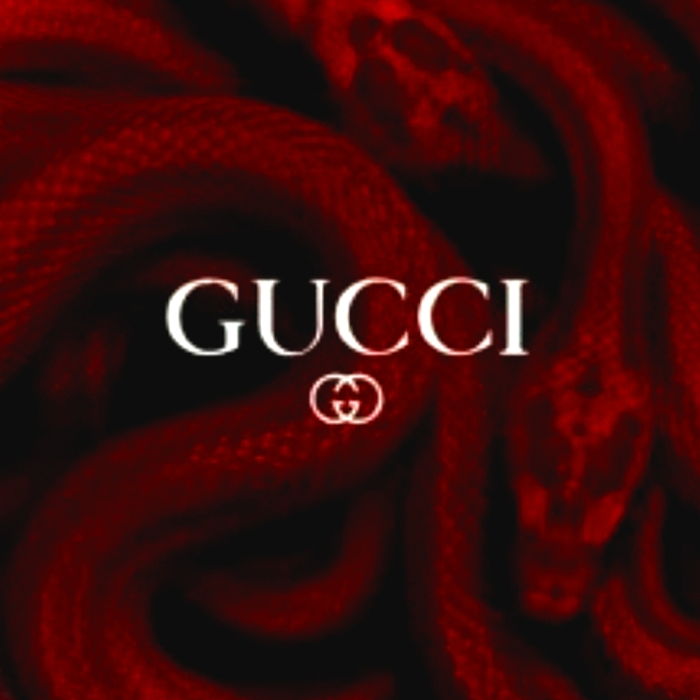 GUCCI ®️ - Picture 8 of 16